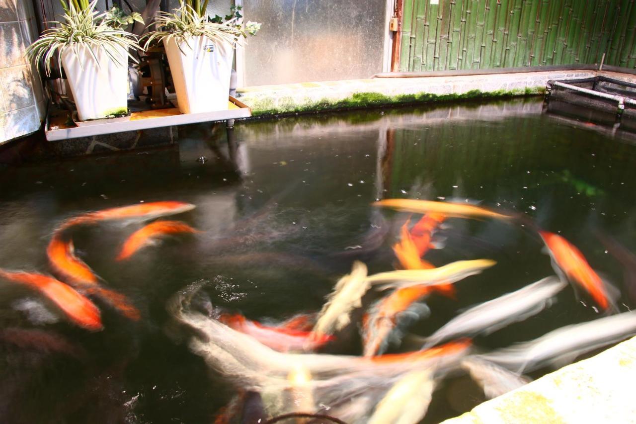 奥居旅館 五島市 エクステリア 写真